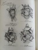 图解妇人科手术学（昭和17年）精装