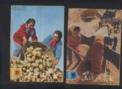 黑龙江农业1982年 9