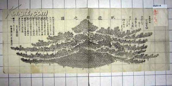 版画 卧龙松之图 70cm长  庭院 植物 1878