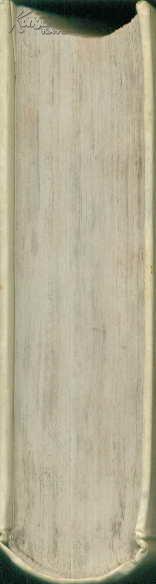 中外名人的青少年时代系列丛书 政治家的青少年时代（精装）