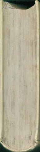 中外名人的青少年时代系列丛书 政治家的青少年时代(精装)