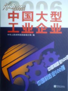 2006中国大型工业企业