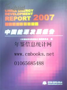 2007中国能源发展报告