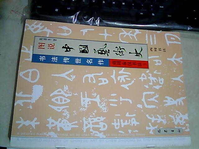 图说中国艺术史 书法传世名作 商周秦汉书法 3 西周书法