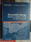 可再生能源——市场趋势与政策走向（16开精装 2006年初版）
