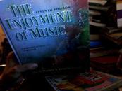 THE ENJOYMENTOFMUSIC