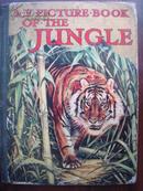 MY PICTURE BOOK OF THE JUNGLE