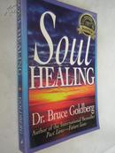 Soul Healing【心灵疗愈，布鲁斯·戈德堡，英文原版】