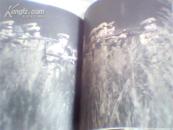 关东大先生画册 【签名本】