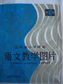 五年制小学课本语文第六册教学挂图片2开放风筝邮递员送水等14张