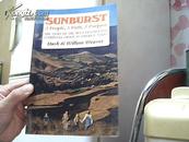 SUNBURST【英文】