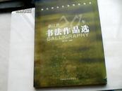 浙江群众文艺精粹集成 （八） 浙江省20年书法作品选