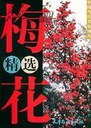 梅花精选集 杨柳青 4开  龚文桢 周彦生 王成喜 方楚雄