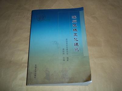 滨州区域文化通览.博兴卷（含夏商西周至明清民主革命等资料，书脊误印成“阳信卷”，其余完好）