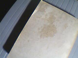 白求恩医科大学1981--1982年度学术年会论文摘要选编