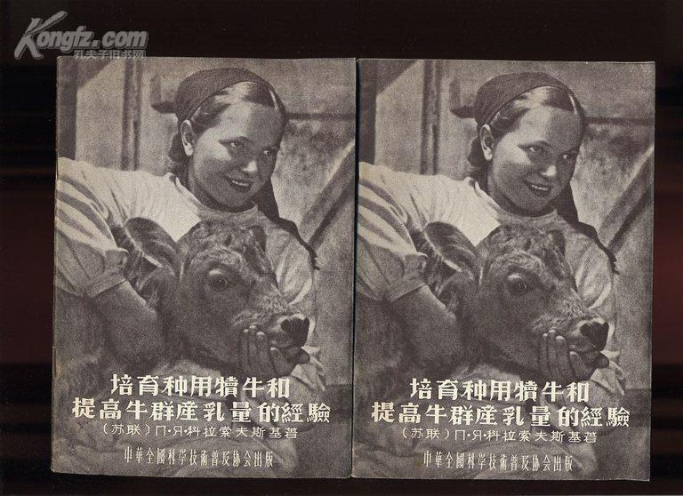 培育种用犊牛和提高牛群产乳量的经验