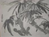 70年代李苦禅画辑散页：觅荫图【8开】