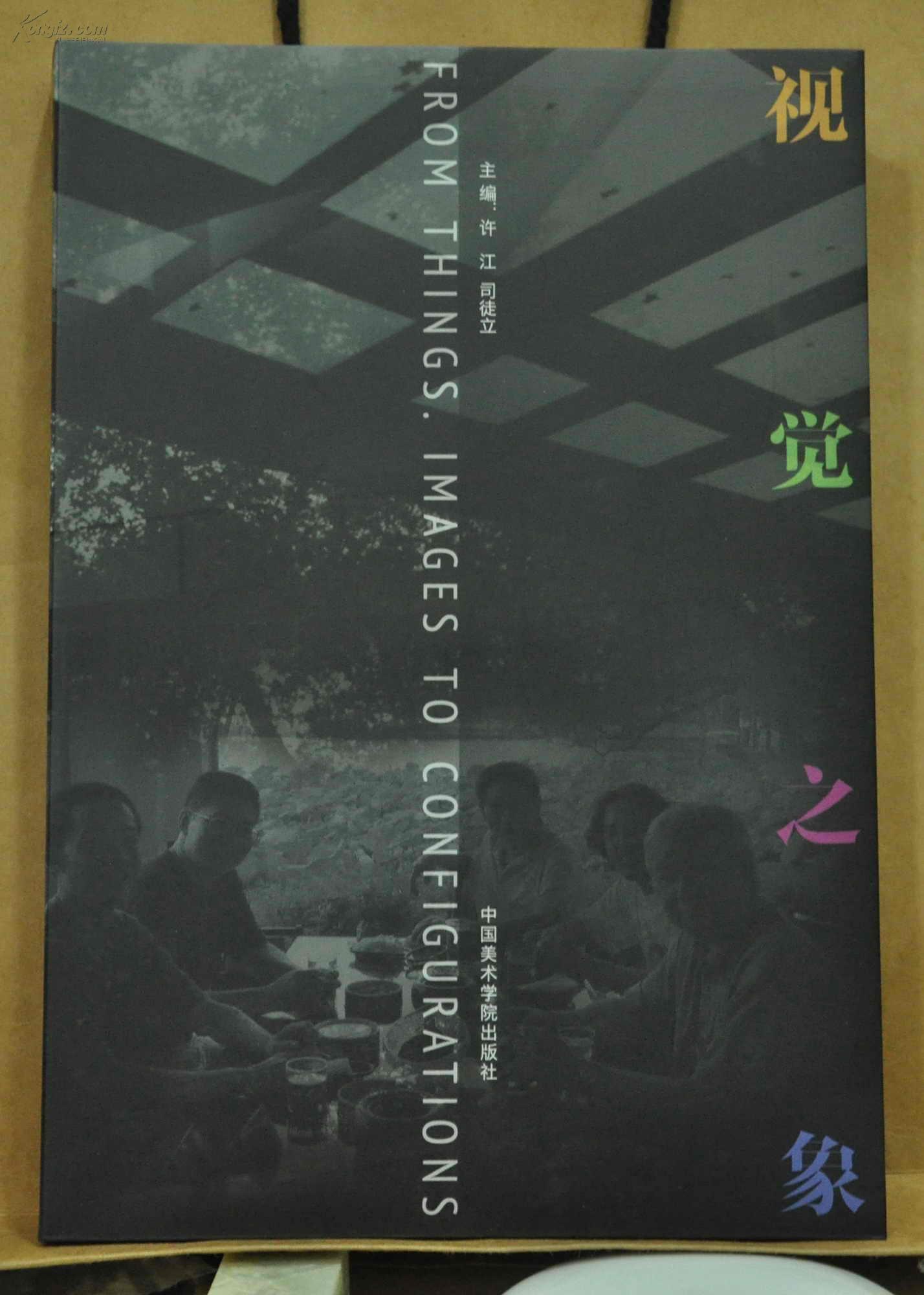 视觉之象（中国美术学院艺术现象学研究所年度展）许江 司徒立