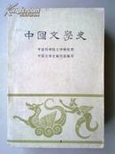 中国文学史 （三册全）