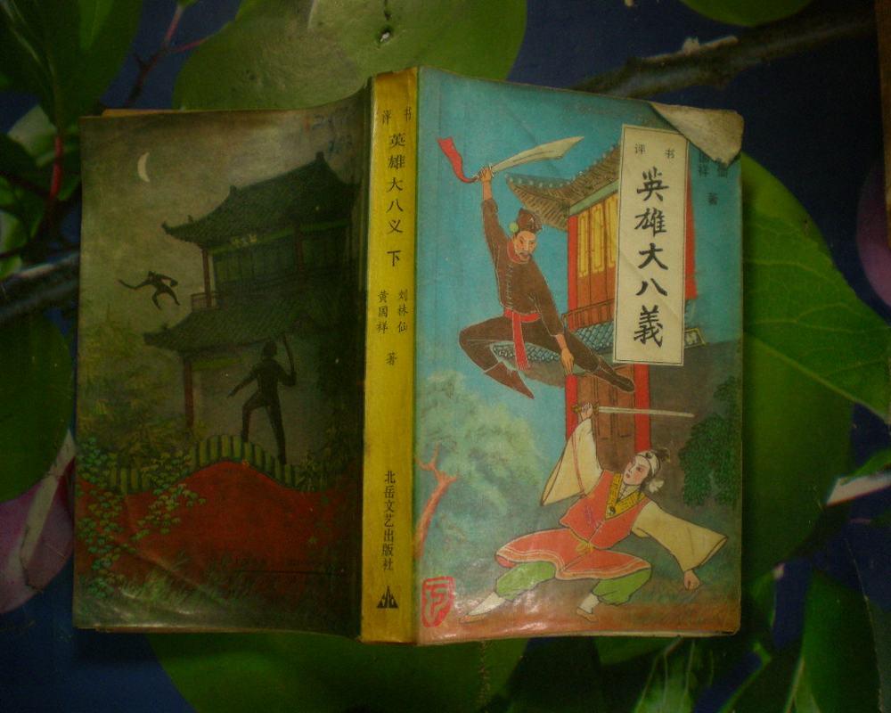 评书 英雄大八义 上下册