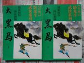 卧龙生武侠小说：大黑马 上、下全二册（32开 93年初版）