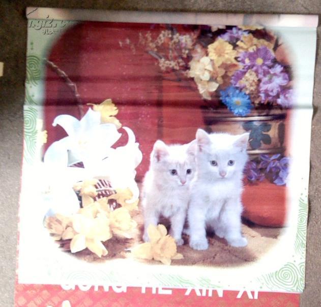 老挂历1994年《恭贺新禧、猫》塑料薄膜挂历全12张