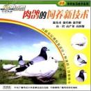 肉鸽饲养管理方法，肉鸽场的经营管理技术