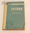 农村科学实验丛书--怎样识别植物(77年1版1印)科学出版社