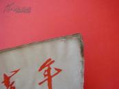 《中国青年》1960年第11期（总288期）封面北京市少年宫无线电小组 马忆湘 胡克实 丁楚桥等文章~