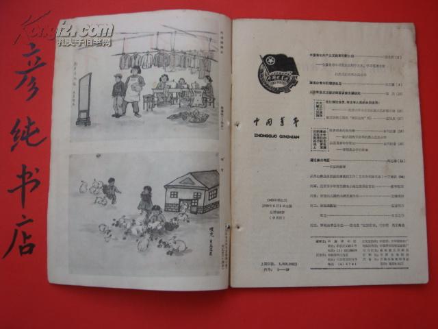 《中国青年》1960年第11期（总288期）封面北京市少年宫无线电小组 马忆湘 胡克实 丁楚桥等文章~