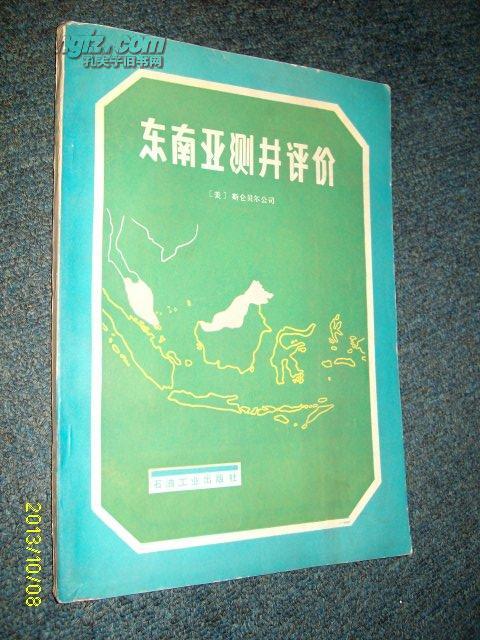 东南亚测井评价