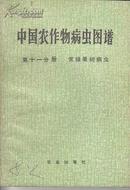 中国农作物病虫图谱 第十一分册 常绿果树病虫（彩图 80）