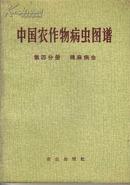 中国农作物病虫图谱 第四分册 棉麻病虫（彩图 45）