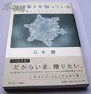 日文原版*江本胜 水は答えを知っている 水知道答案 1 单行本