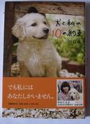 日文原版*川口晴 犬と私の10の約束 狗狗与我的10个约定