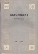 山东农林主要病虫图谱：植物病虫基础知识分册