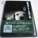 日文原版宠物物语*盲導犬クイールの一生 导盲犬小Q的一生