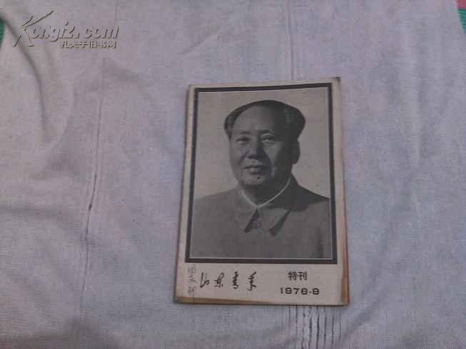 山东青年--特刊