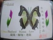蝴蝶标本（10种）