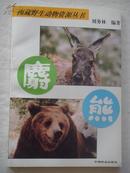 西藏野生动物资源丛书：麝 熊