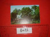 明信片《太阳岛》明信片一枚 黑龙江美术出版社 1984年实寄 有邮戳