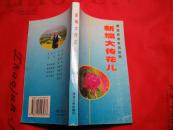 新编大传花儿 2003年1版1印 印数3000册（出版社库存图书）