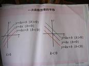 初中数学教学挂图（图15）：一次函数图像的平移（尺寸：75x52厘米）