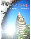 河南文化文物年鉴2011