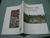 张朝翔毕生创造中国野风画派艺术绘画与理论集    货号N1