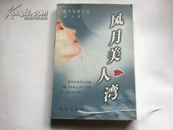 《风月美人湾》现代情感小说