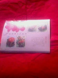 邮票----T2000-24  君子兰 一套四枚全  小全张  新票