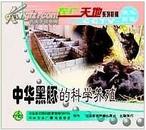 广西黑豚养殖方法,中华黑豚科学养殖技术