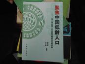 聚焦中国低龄人口:第二届中国人口问题高级资讯会报告集