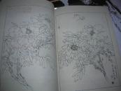 T 牡丹画稿/ 王少卿（16开库存书 正版